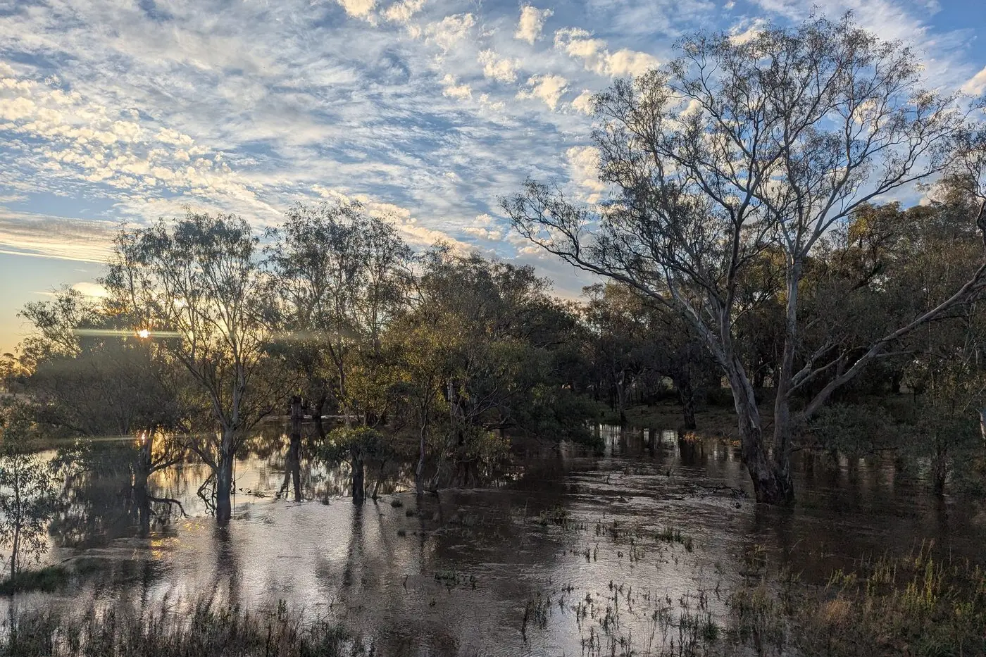 Lachlan Valley Water says prices could increase by up to 200 per cent under a proposed water strategy. Photo Dan Ryan.