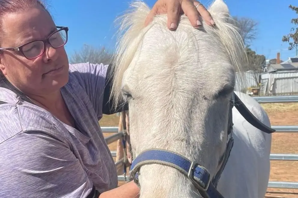THERAPEUTIC: Liane Walters\\nEmmeline Equine Therapy is certified and Insured to deal with all your equine needs. Photo supplied. 