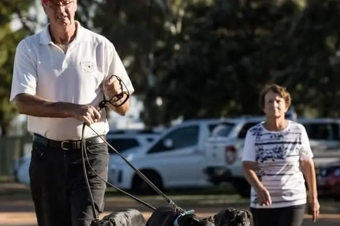 WINNING CONNECTION: Paul and Pam Braddon are making every post a winner at Dubbo this season. Photo courtesy of Cowra Greyhound Club. 