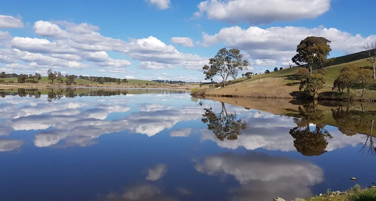 Belubula water security options narrowed down