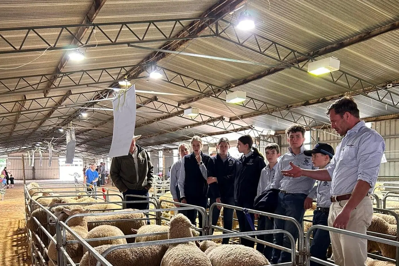 COUNTING DOWN: Counting sheep and counting down the days to the 2024 Cowra Show. Photo courtesy of Cowra Show Society. 