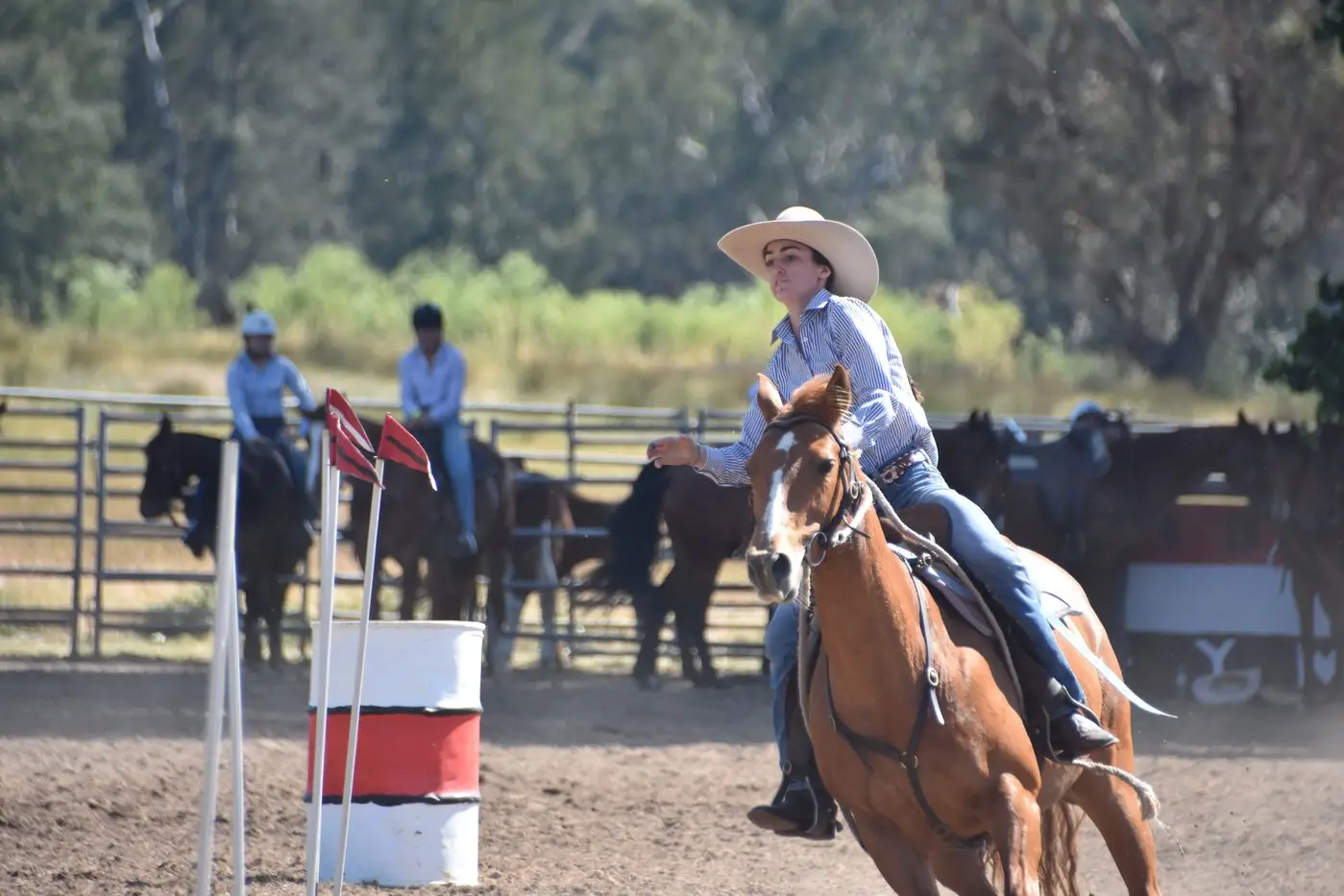 Stay on target: Bridie Williams in the barrel race. Photo Dan Ryan