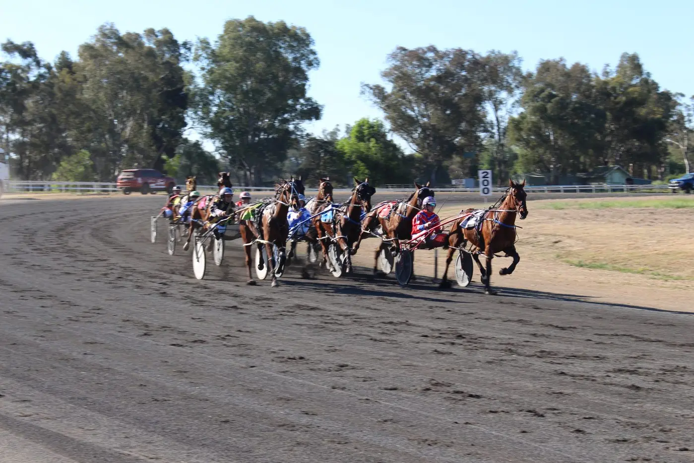 Locally trained horse, Blue Suede Rocka trained by Cowra\\'s Peter Tanti won the Tritech Refrigeration Cup.
