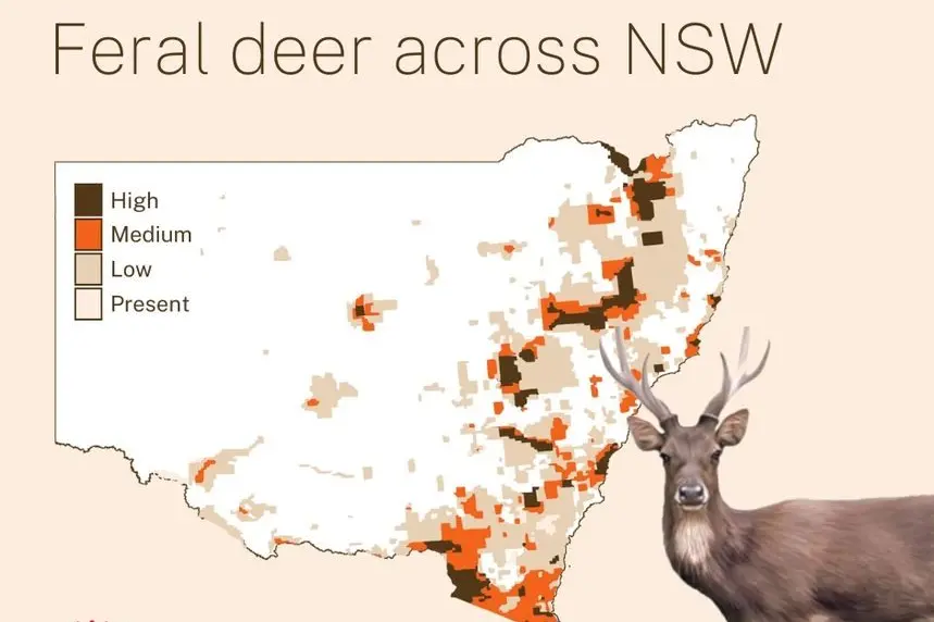 Deer hotspots