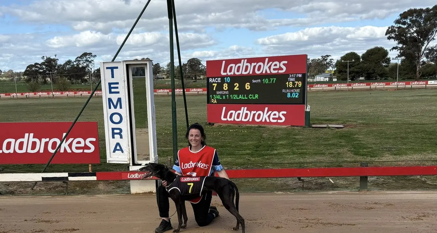 Strong fortnight for Cowra Greyhound Club