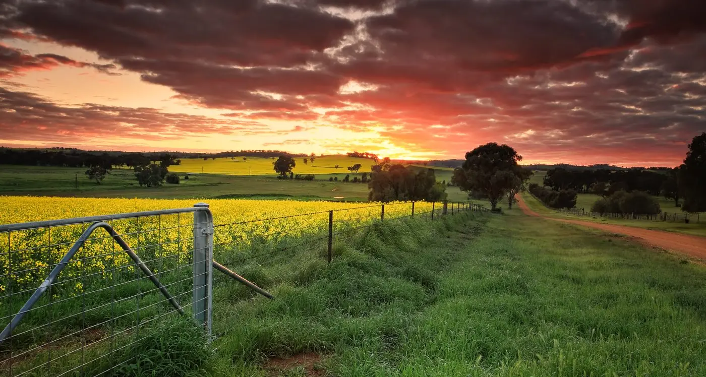 Regional Australians lean into lasting lifestyle reset