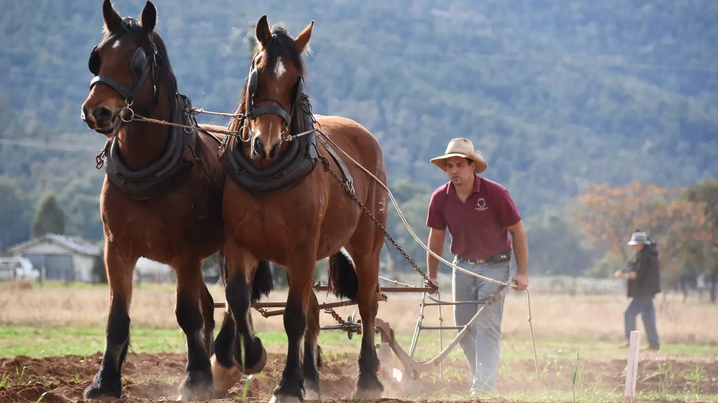 Watch a black and white photo come to life