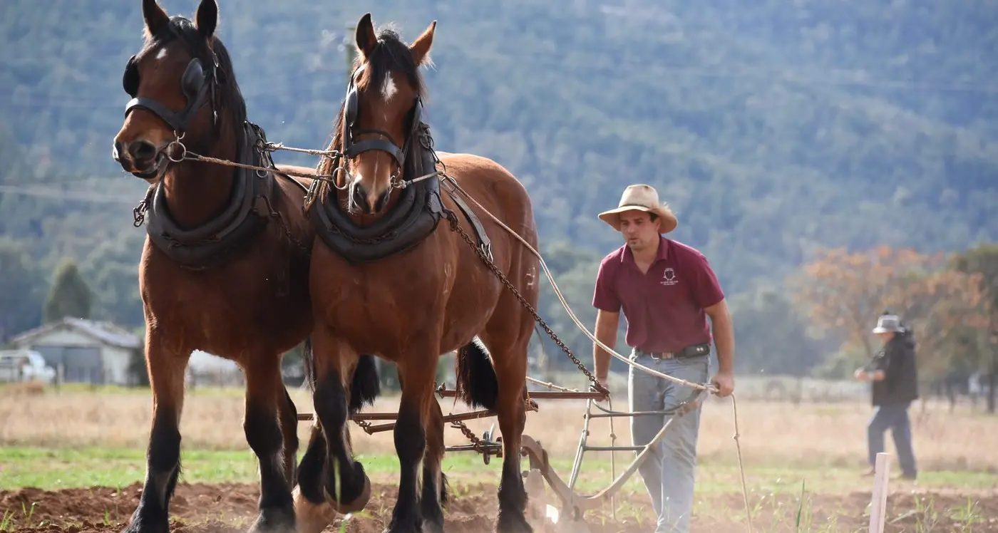 Watch a black and white photo come to life