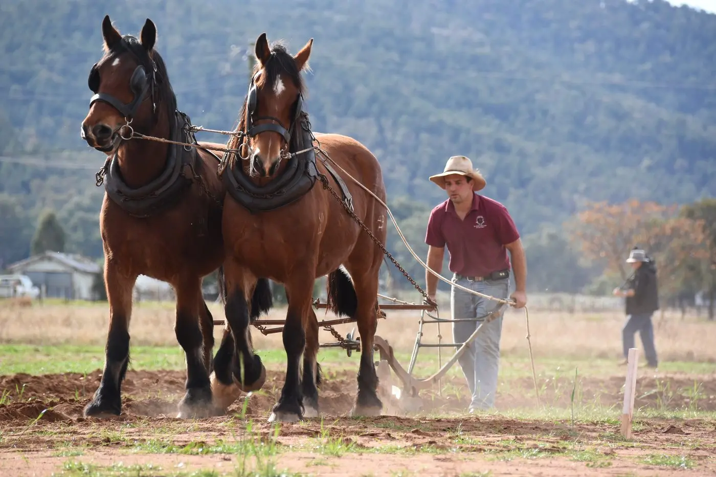 Watch a black and white photo come to life