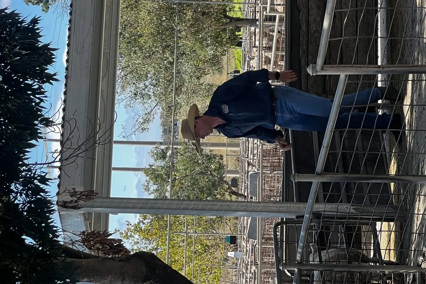 Jack Harper from Allan Gray and Co at the first sale for 2025