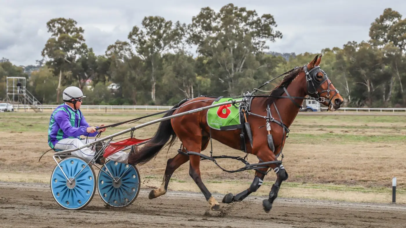 What's On in Cowra, Canowindra and Surrounds