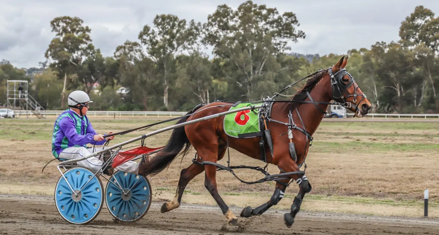 What's On in Cowra, Canowindra and Surrounds