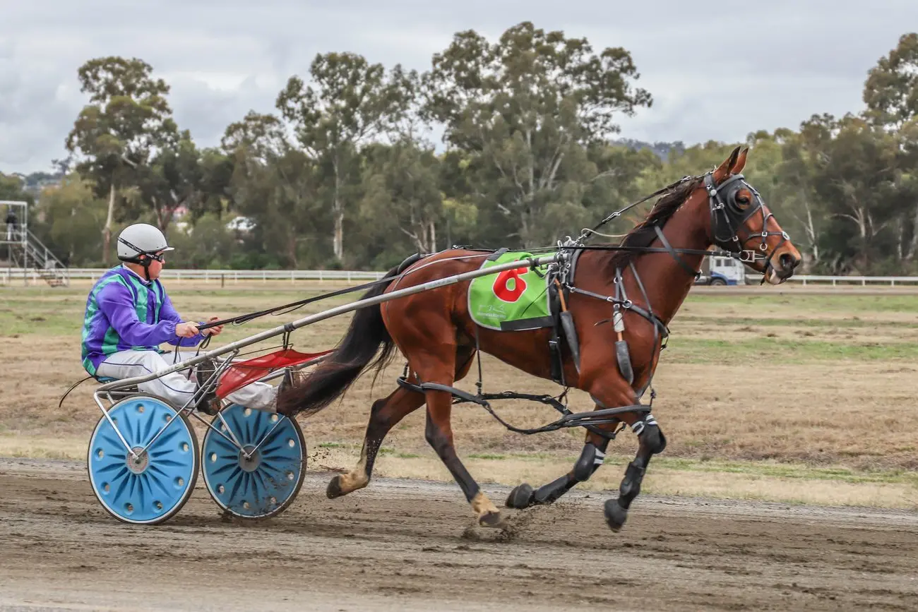 What's On in Cowra, Canowindra and Surrounds