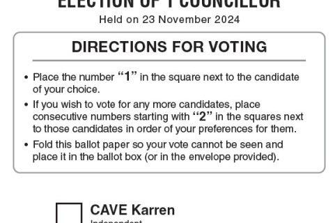 Cowra by-election: what you need to know before voting day