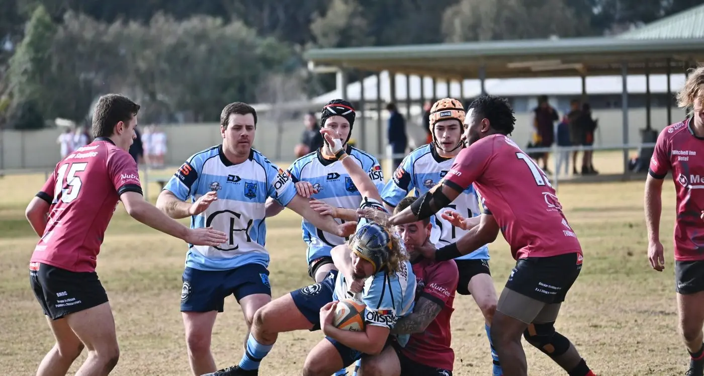 Pythons looking for new blood