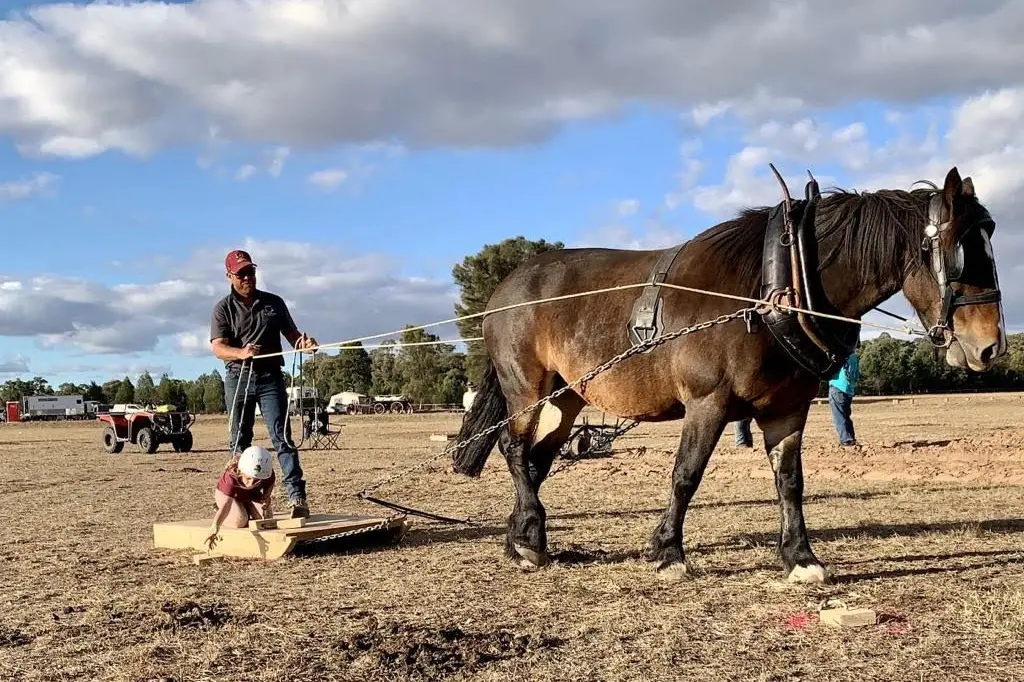 Jason Gavenlock is the newly appointed President of Cowra & District Pony Club. Image supplied