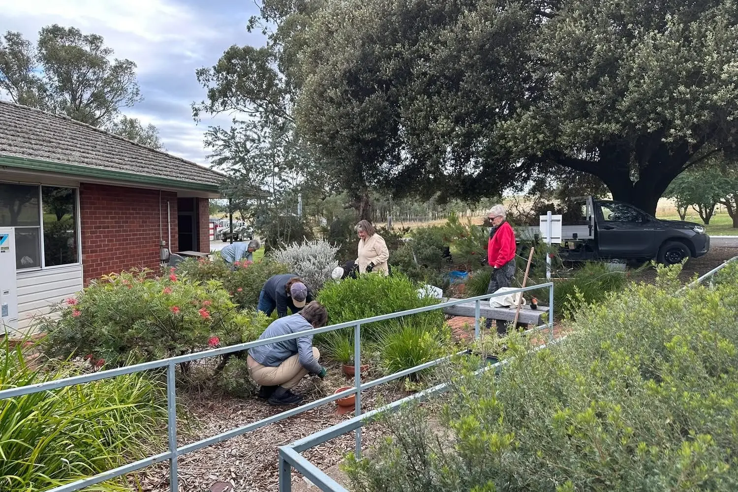 <p>Canowindra Garden Club members came together for a working bee at the native garden to honour the memory of Sue Johnson. PHOTO: Canowindra Garden Club</p>\\n