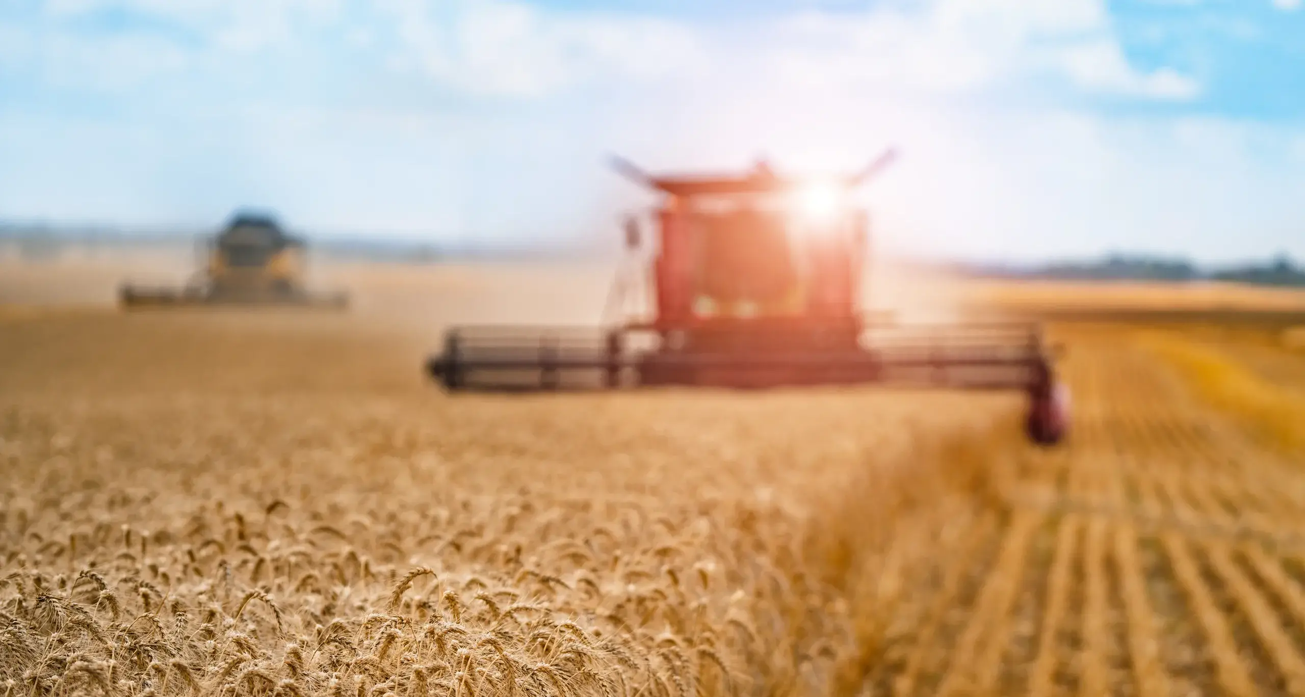 Farmers urged to prepare as summer storms loom