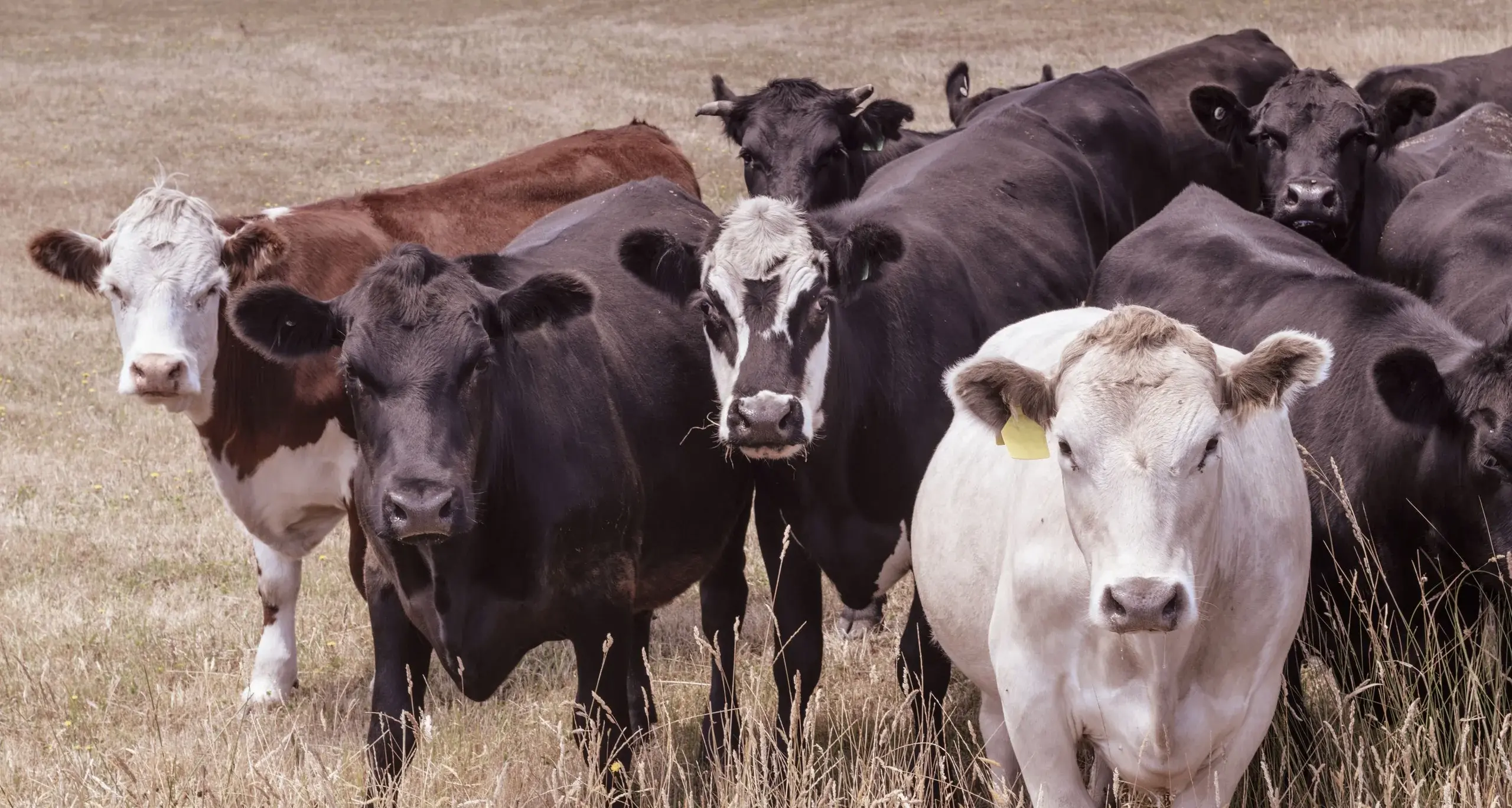 Producers: plan ahead for a stress-free festive season