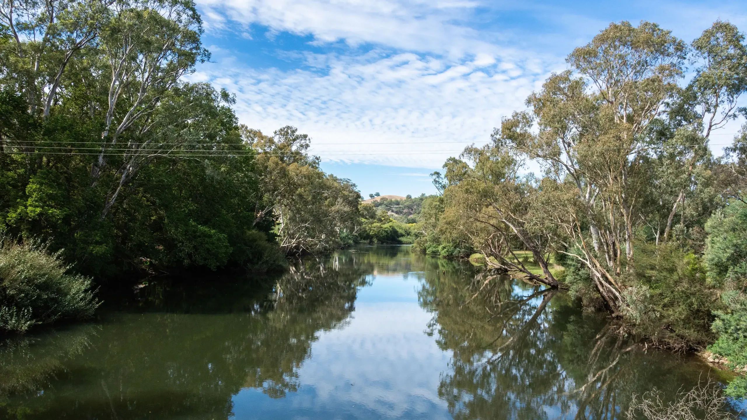 Basin Plan out for review, advocates say it shows more than water is needed