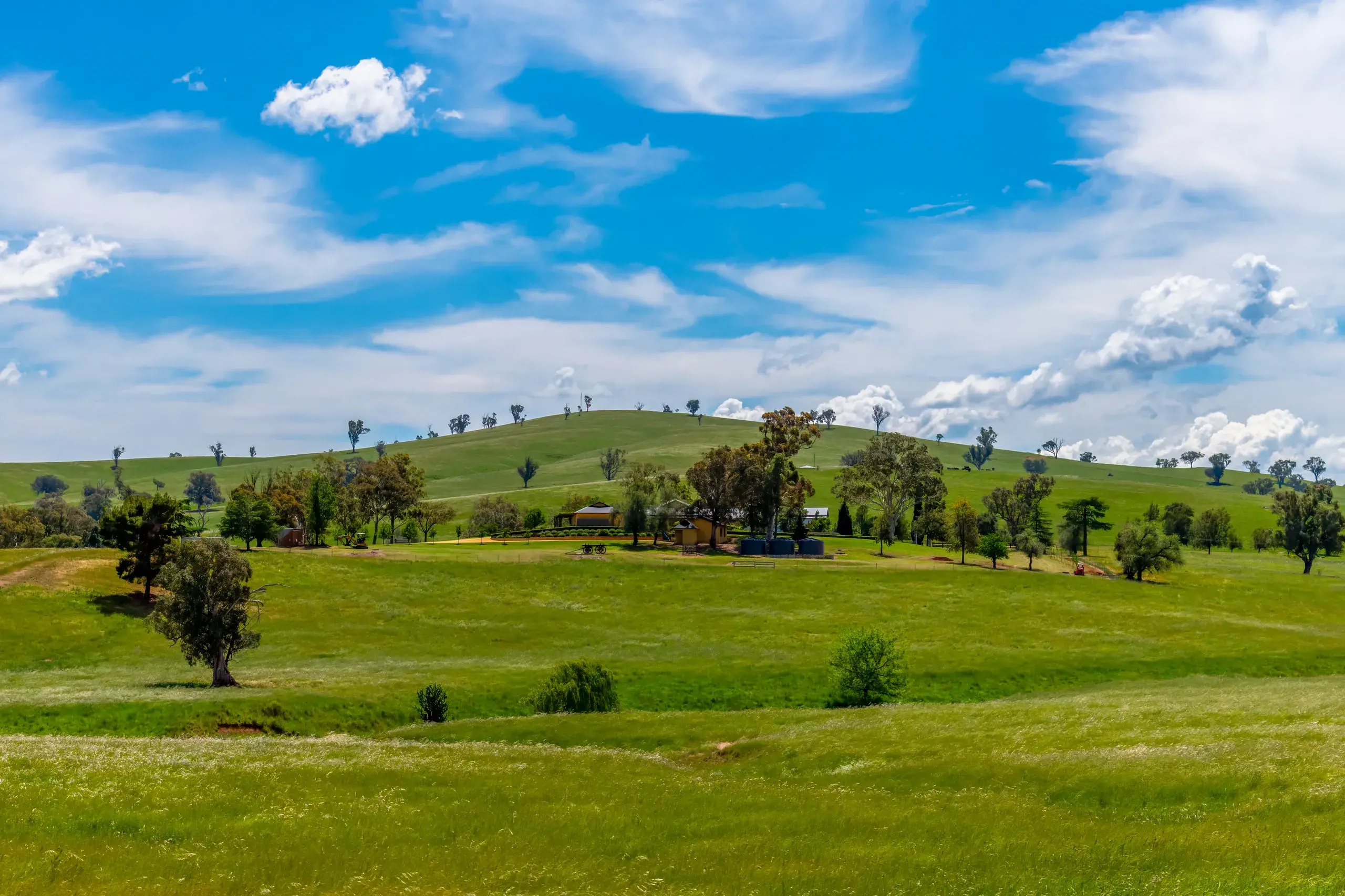 <p>Cabonne landholders with more than 40 hectares are asked to submit their farmland application form by 20 March. PHOTO: Adobe Stock, Caseyjadew</p>\\n