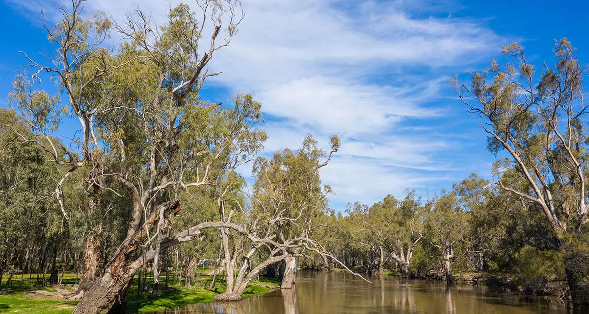 Floodplain plan on exhibition now