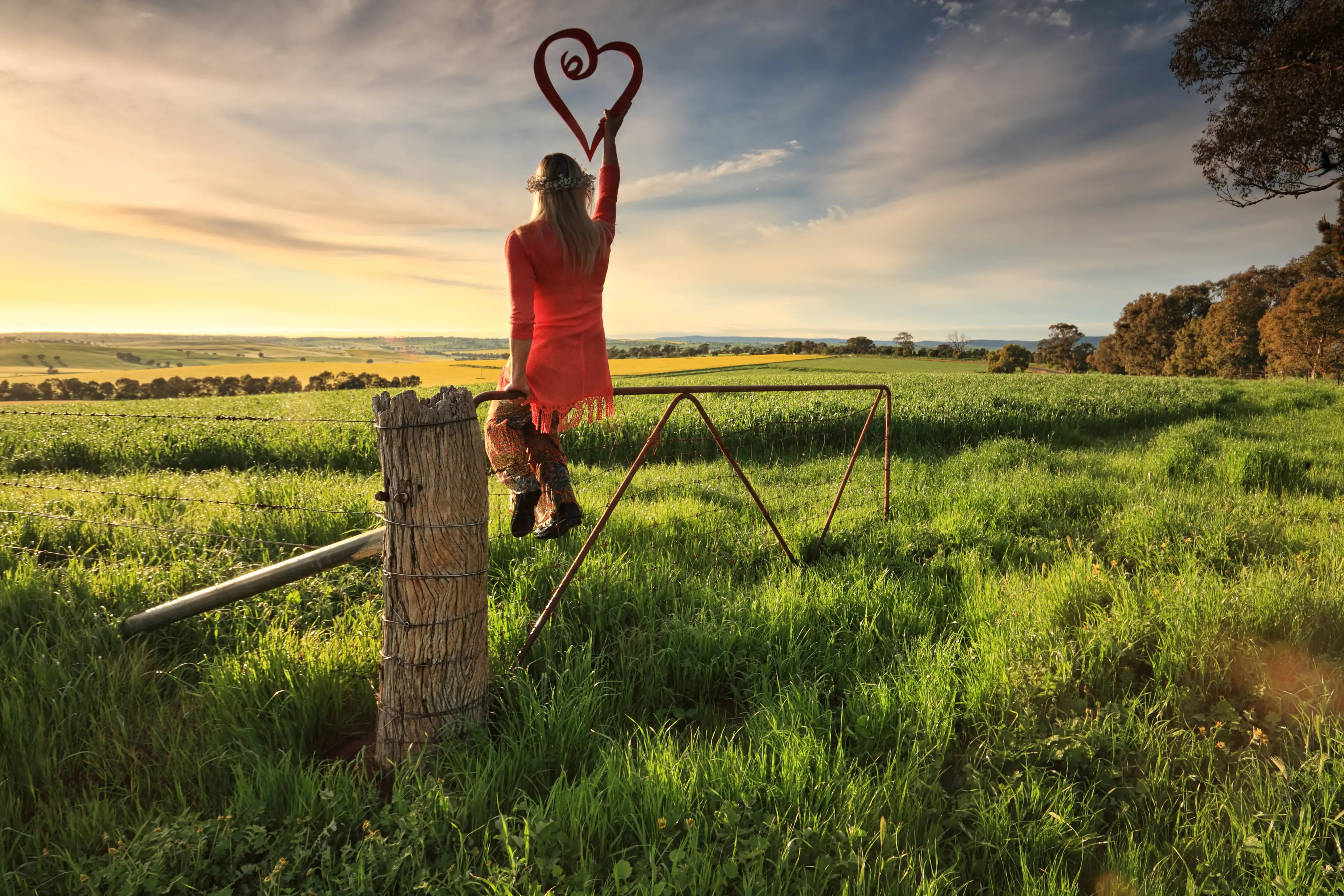 <p>Beautiful morning in the countryside in Cowra Shire overlooking farmlands of mainly wheat, canola and grazing stock. PHOTO: Adobe Stock, by Designpics</p>\\n