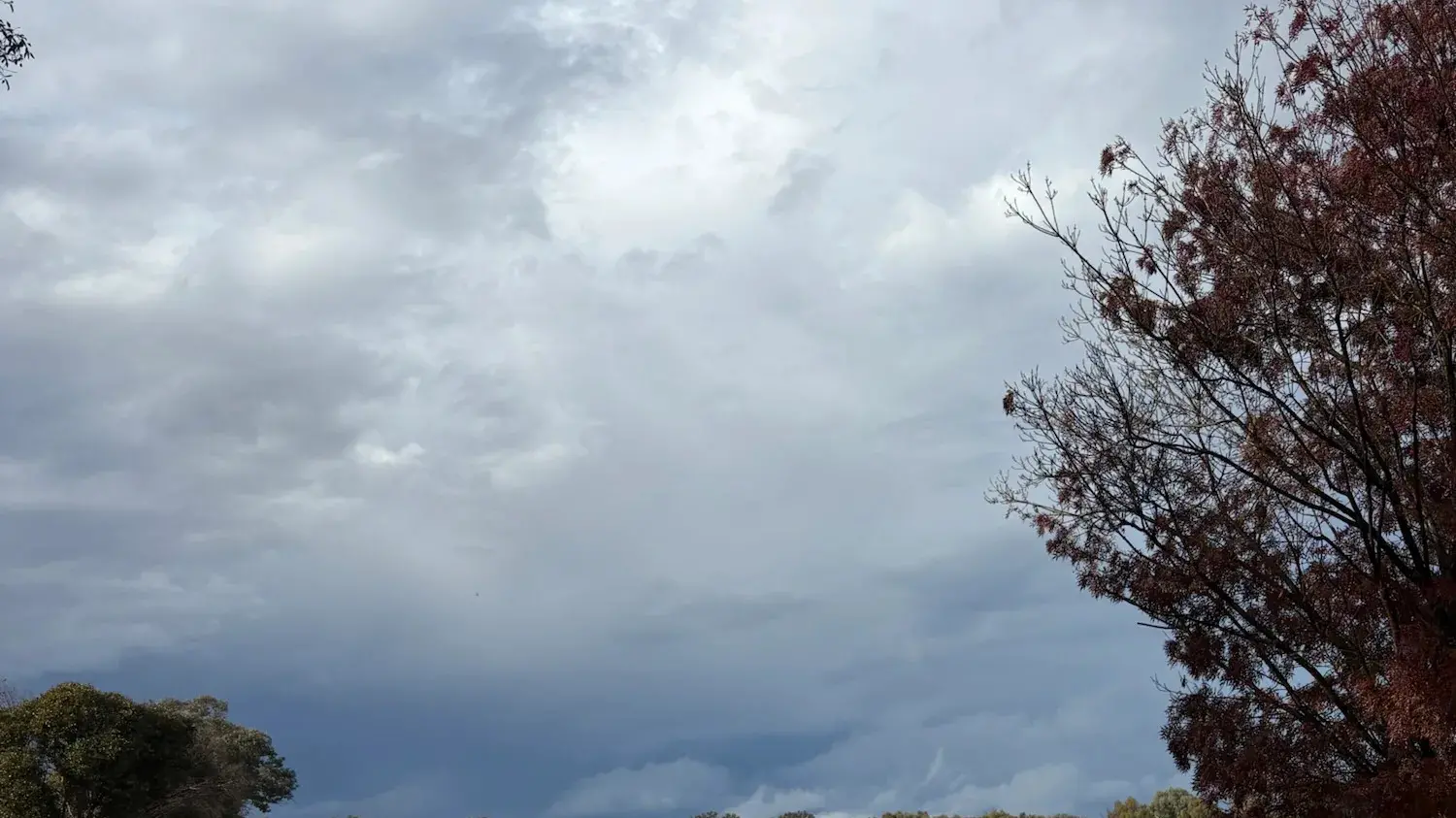 The rain that changed it all