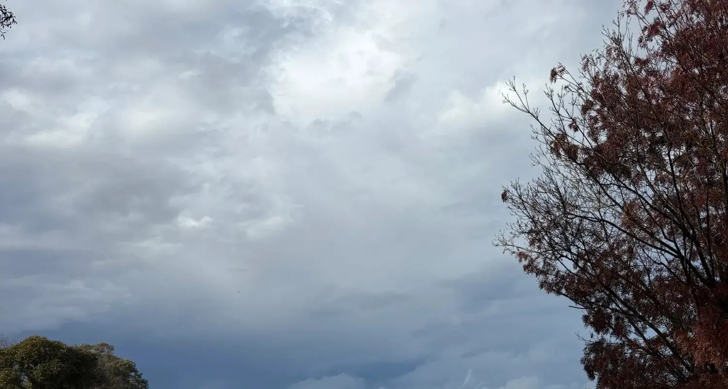 The rain that changed it all