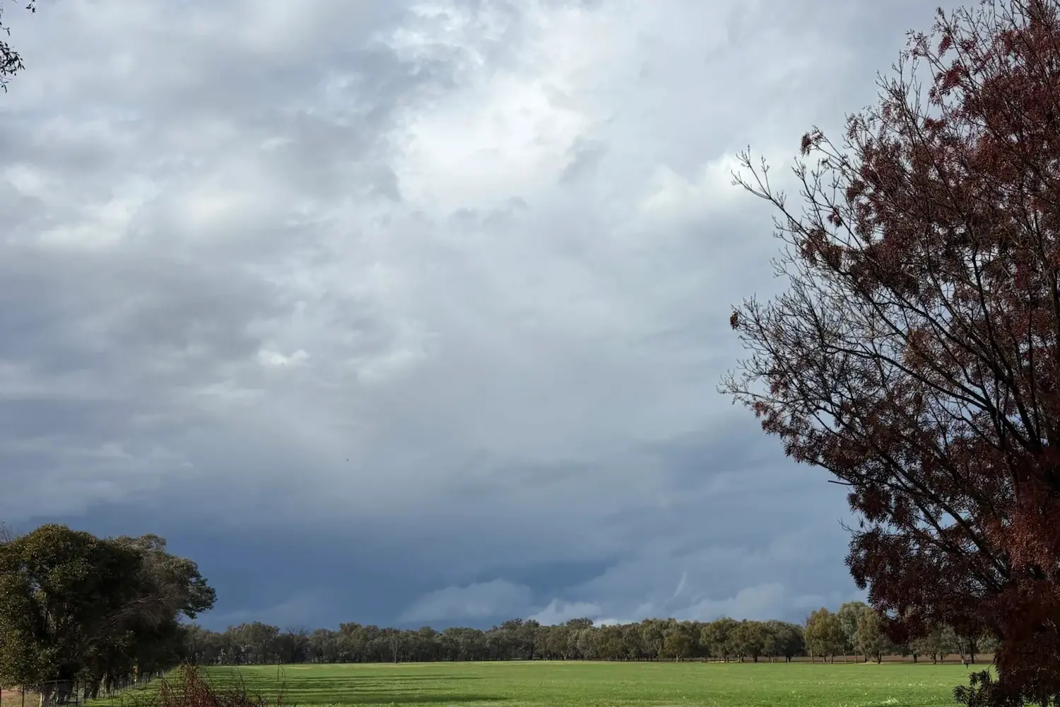 <p>Strong rain and rising markets boost confidence for local producers, says stock and station agent Jack Harper.</p>\\n