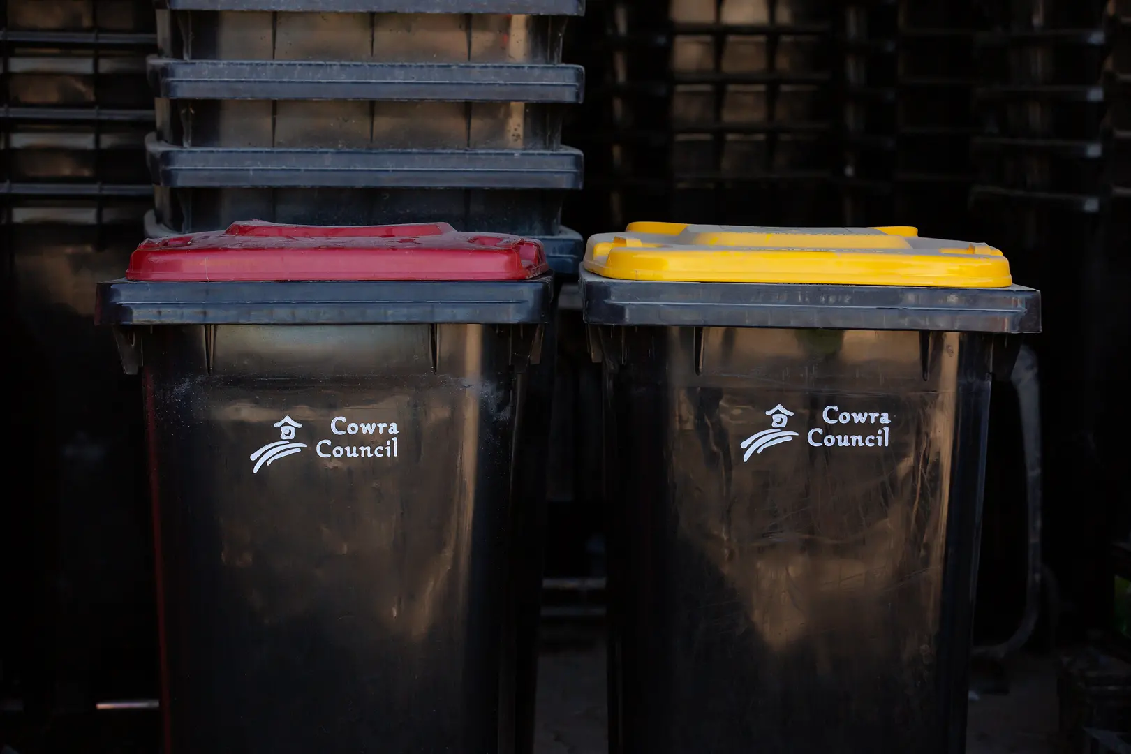 <p>From trash to treasure, Cowra\\u2019s bin audit delivers results.</p>\\n