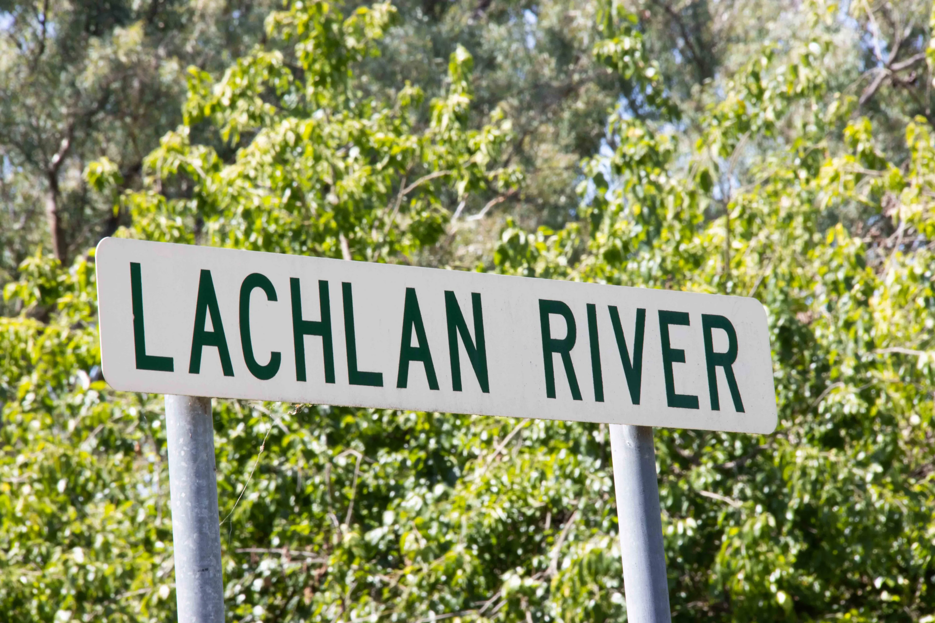 <p>Join the conversation on the future of water at Lachlan Valley Water\\'s upcoming AGM.</p>\\n