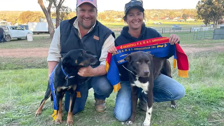 From pub to paddock, Caragabal's first yard dog trial