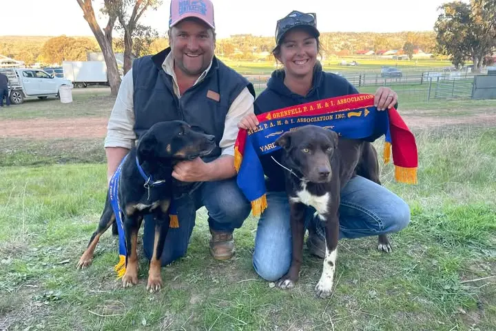 <p>Sam and Brooke Yates had some success at the 2024 Grenfell Yard Dog Trial. PHOTO: Ambro Rural and Livestock</p>\\n
