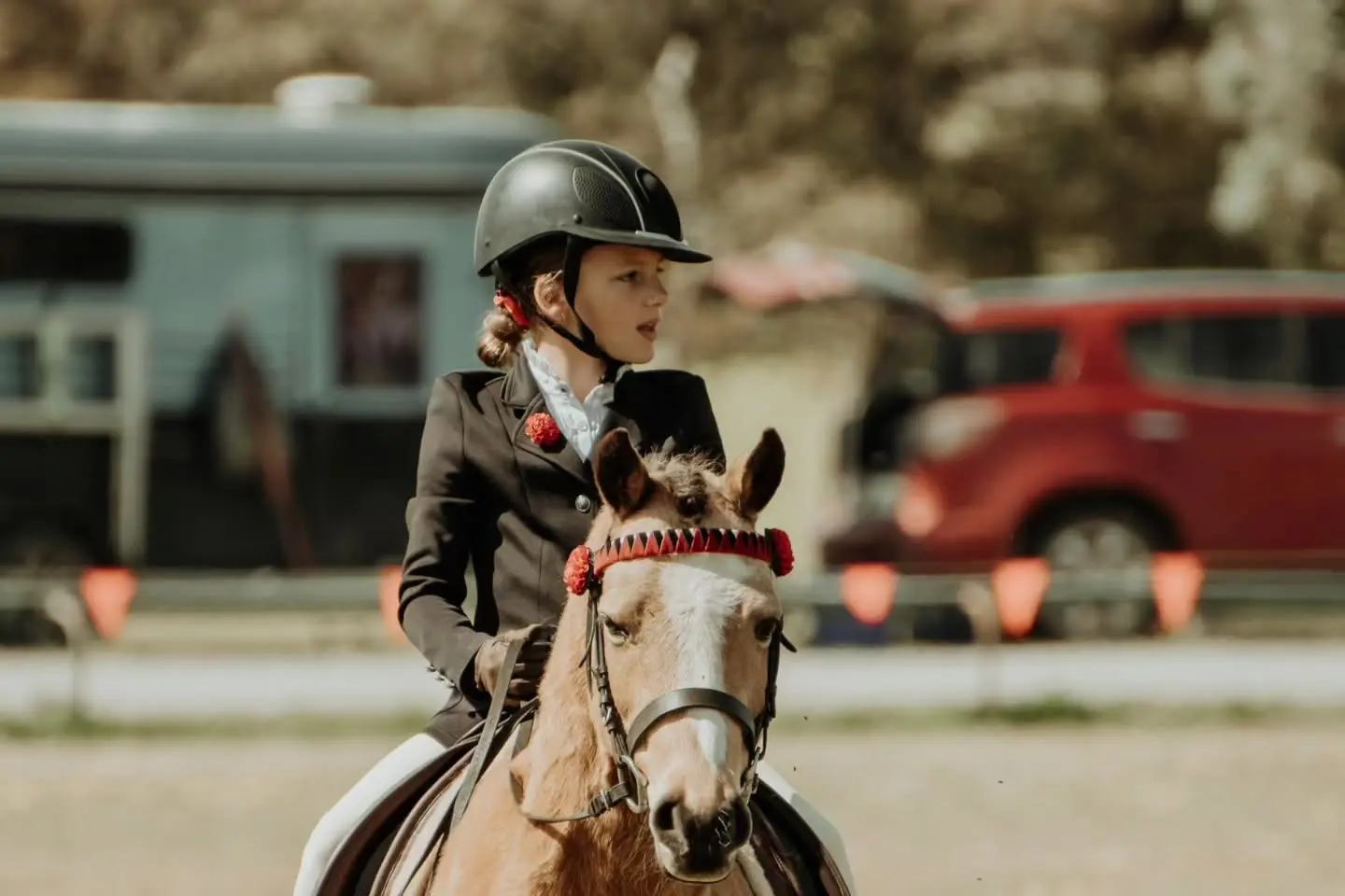 <p>Horse ring events, mini horses, poultry judging and stud cattle judging will follow from 9am, before woodchopping and the popular vintage tractor pull begin at 10am. PHOTO: The Rural Journal</p>\\n