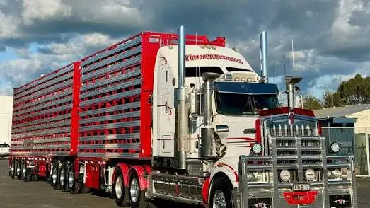 Diesel price surge puts transport operators under pressure